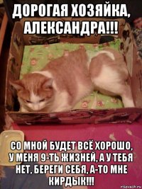 дорогая хозяйка, александра!!! со мной будет всё хорошо, у меня 9-ть жизней, а у тебя нет, береги себя, а-то мне кирдык!!!