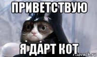 приветствую я дарт кот