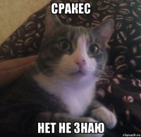 сракес нет не знаю