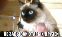  не забывай старых друзей
