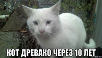  кот древако через 10 лет