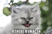  в гневе я ужасен