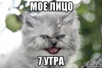 мое лицо 7 утра
