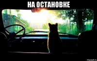 на остановке 