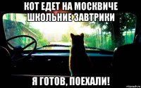 кот едет на москвиче школьние завтрики я готов, поехали!