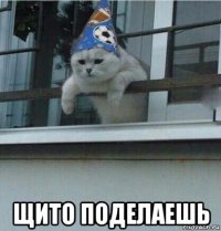 щито поделаешь