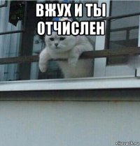 вжух и ты отчислен 