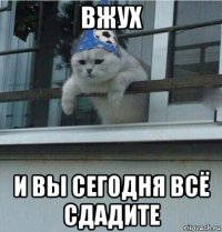 вжух и вы сегодня всё сдадите