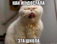 как же достала эта школа