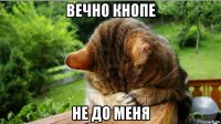 вечно кнопе не до меня