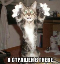  я страшен в гневе