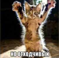  но отходчивый