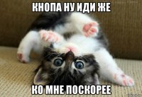 кнопа ну иди же ко мне поскорее