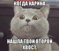 когда карина нашла твой второй хвост