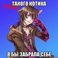 такого котика я бы забрала себе