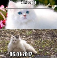 31.12.2016 _________________________ 06.01.2017 _____