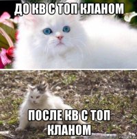до кв с топ кланом после кв с топ кланом