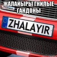 жалайыры гнилые гандоны 