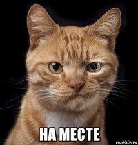  на месте