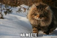 на месте