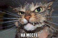  на месте