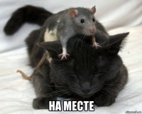  на месте