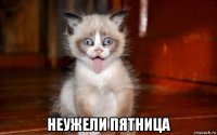 неужели пятница