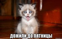  дожили до пятницы