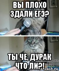 вы плохо здали егэ? ты че, дурак что ли?!