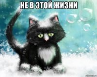 не в этой жизни 