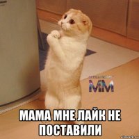  мама мне лайк не поставили