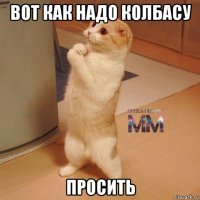 вот как надо колбасу просить