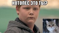 котопёс это ты? 