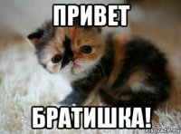 привет братишка!