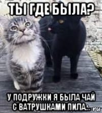 ты где была? у подружки я была чай с ватрушками пила...