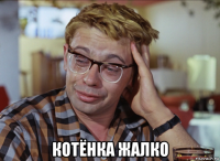  котёнка жалко