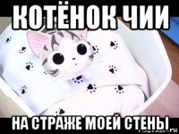котёнок чии на страже моей стены