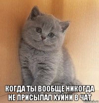  когда ты вообще никогда не присылал хуйни в чат