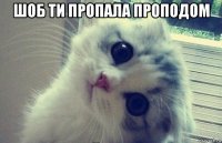 шоб ти пропала проподом 