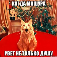 когда мишура рвет не только душу