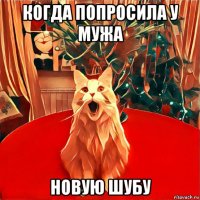 когда попросила у мужа новую шубу