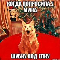 когда попросила у мужа шубку под елку