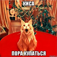 киса пора купаться