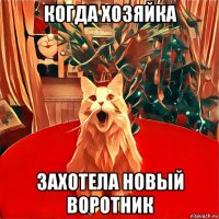 когда хозяйка захотела новый воротник