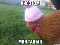 кисэтэм мин тавык