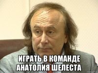  играть в команде анатолия шелеста