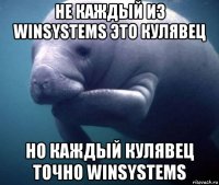 не каждый из winsystems это кулявец но каждый кулявец точно winsystems