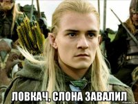  ловкач, слона завалил