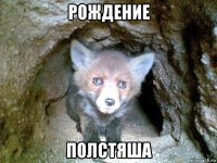 рождение полстяша