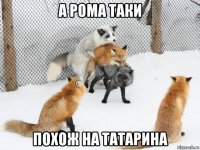 а рома таки похож на татарина
